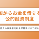 国から借りる公的融資制度