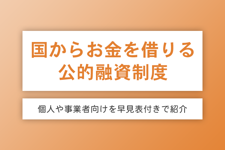 国から借りる公的融資制度